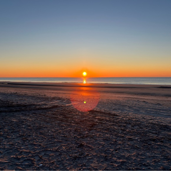 Meet your Posher, Caragh - Picture 1 of 1